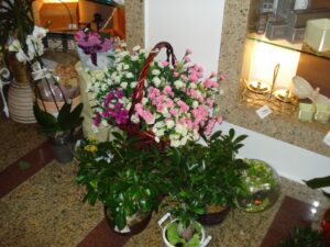 Dan zaljubljenih u cvjećarnici Mirta - Fotografija 07