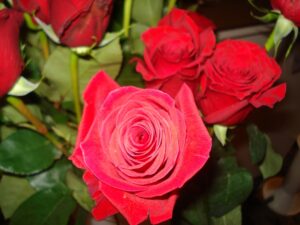 Dan zaljubljenih u cvjećarnici Mirta - Fotografija 14