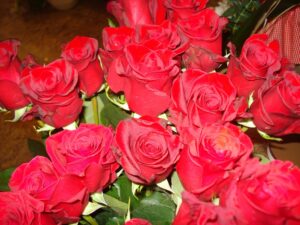 Dan zaljubljenih u cvjećarnici Mirta - Fotografija 15
