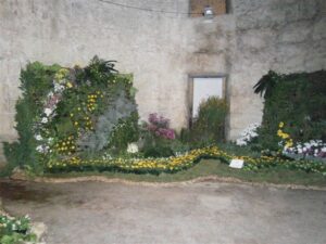 Nasadi na 39. Prazniku cvijeća u Splitu - Fotografija 07