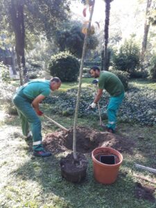 Nasadi se priključili građanskoj inicijativi sadnje drveća - Fotografija 01