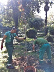 Nasadi se priključili građanskoj inicijativi sadnje drveća - Fotografija 03
