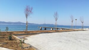 Posađeno novo zelenilo na plaži Jadran - Fotografija 02
