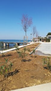 Posađeno novo zelenilo na plaži Jadran - Fotografija 05