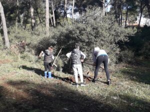 Zajednička akcija sadnje i pošumljavanja parka Žmirići - Fotografija 07