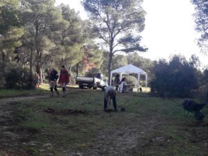 Zajednička akcija sadnje i pošumljavanja parka Žmirići - Fotografija 08