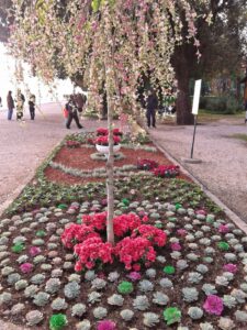 3. Vrtna izložba cvijeća Cvijet Zadra 2017. - Fotografija 18