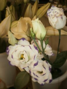Dekorativni asortiman cvjećarnice Mirta - Fotografija 19