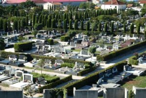 Gradsko groblje Zadar - Fotografija 35