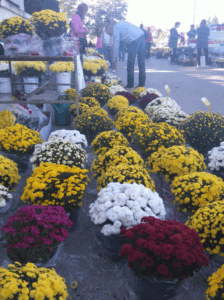 Ponuda cvijeća na Gradskom groblju - Fotografija 05
