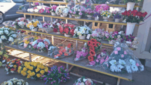 Ponuda cvijeća na Gradskom groblju - Fotografija 09