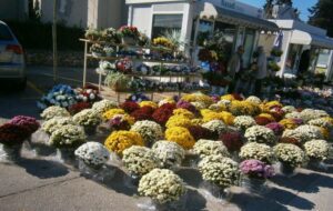 Ponuda cvijeća na Gradskom groblju - Fotografija 18