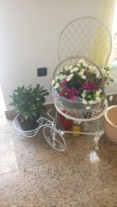 Priprema za Uskrs u cvjećarnici Mirta - Fotografija 07