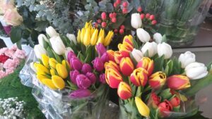 Proljetna ponuda cvjećarnice Mirta - Fotografija 01
