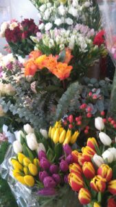 Proljetna ponuda cvjećarnice Mirta - Fotografija 03