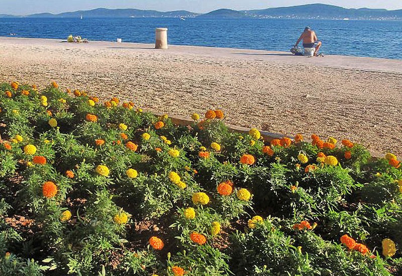 Zadarska riva u srpnju - Fotografija 10