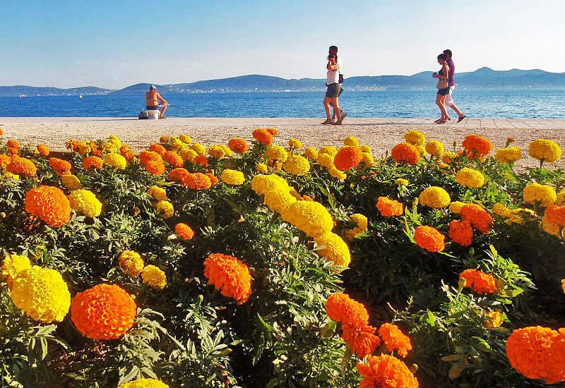 Zadarska riva u srpnju - Fotografija 11