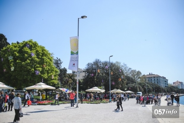 Vrtna izložba cvijeća Cvijet Zadra