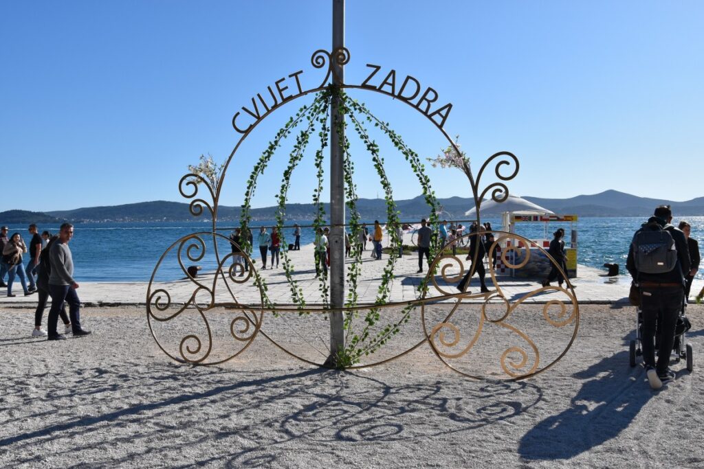 Vrtna izložva cvijeća – Cvijet Zadra