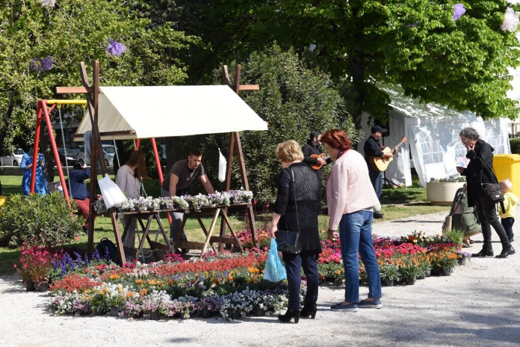 Vrtna izložva cvijeća – Cvijet Zadra