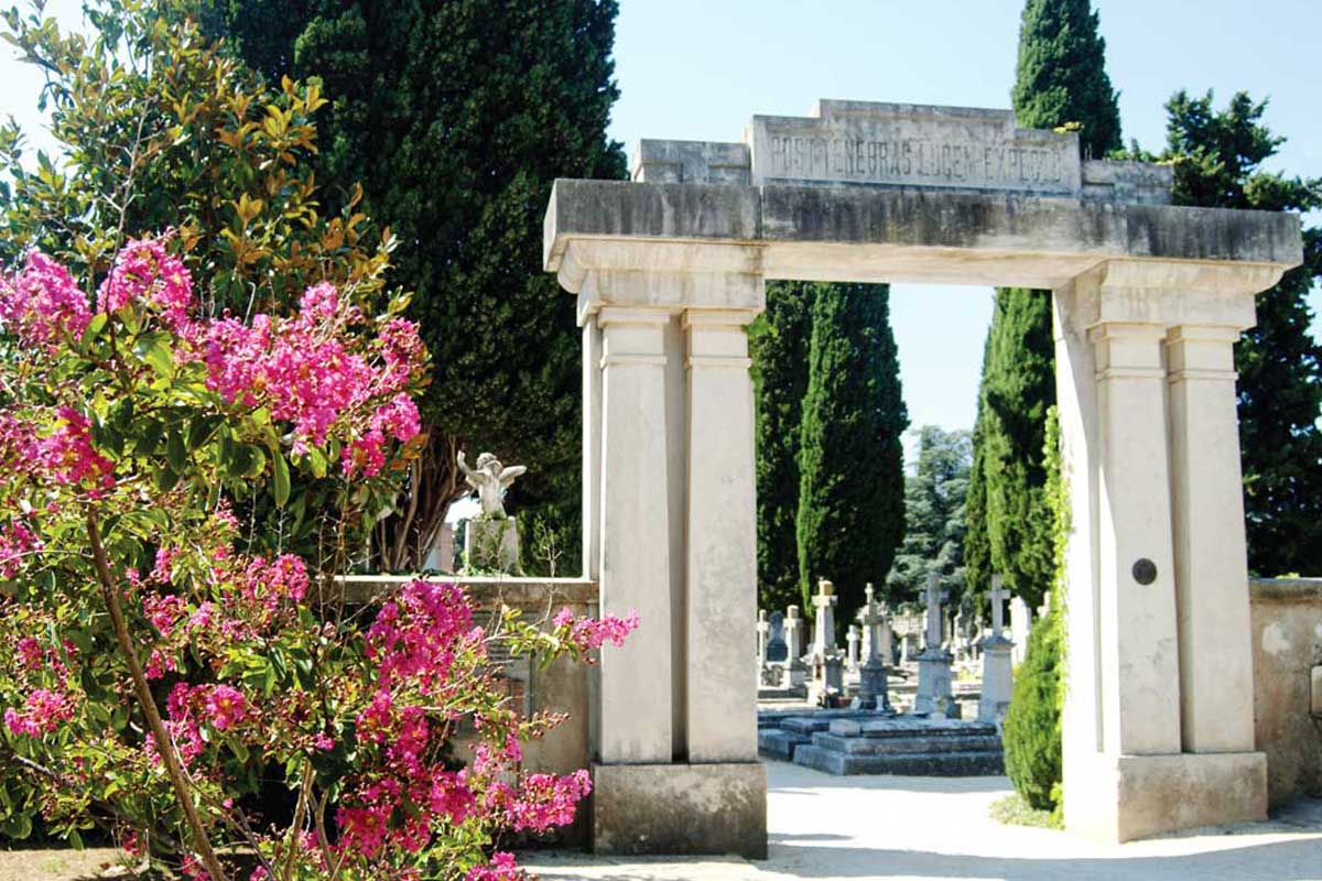 Povijest gradskog groblja Zadar - Foto 2