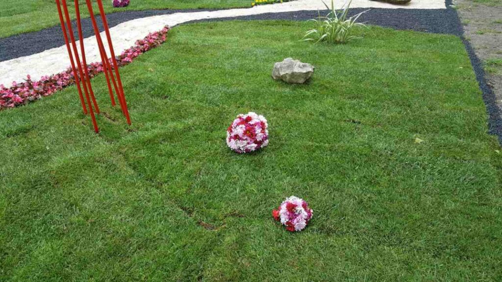Floraart 2017 instalacija stabla nade