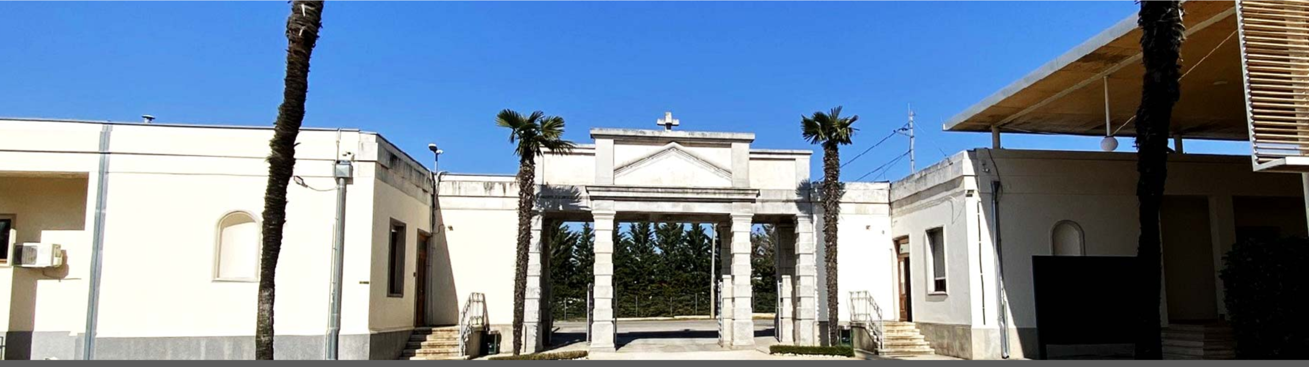 Nasadi Zadar - gradsko groblje
