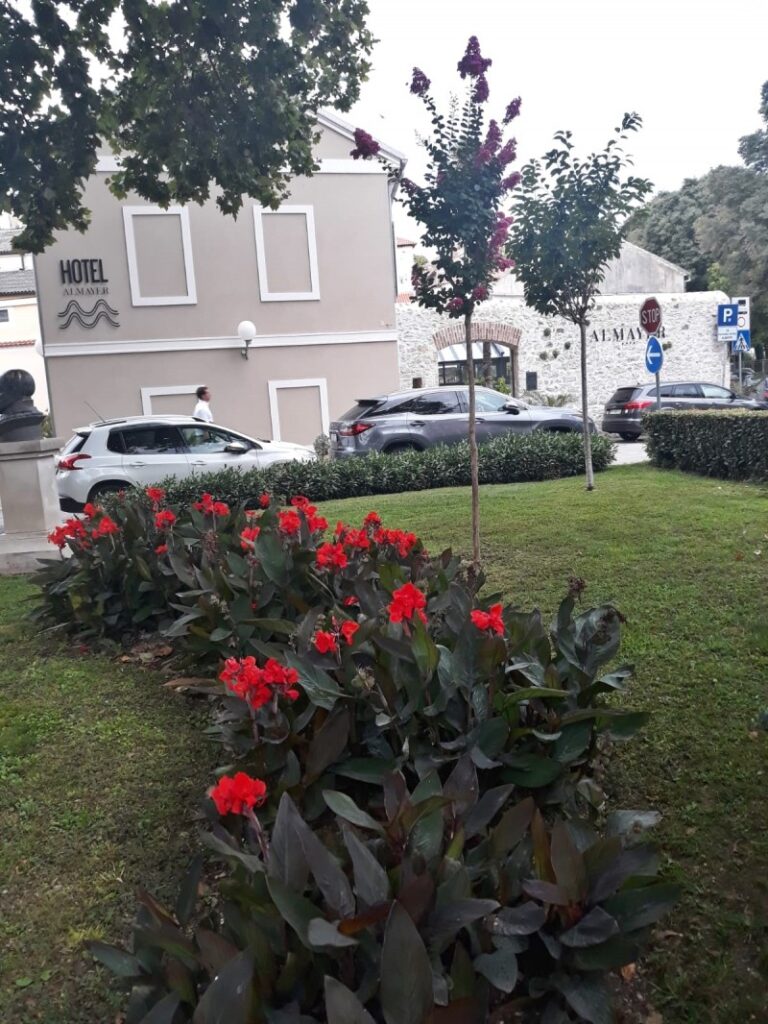 Ljetno izdanje gradskih površina