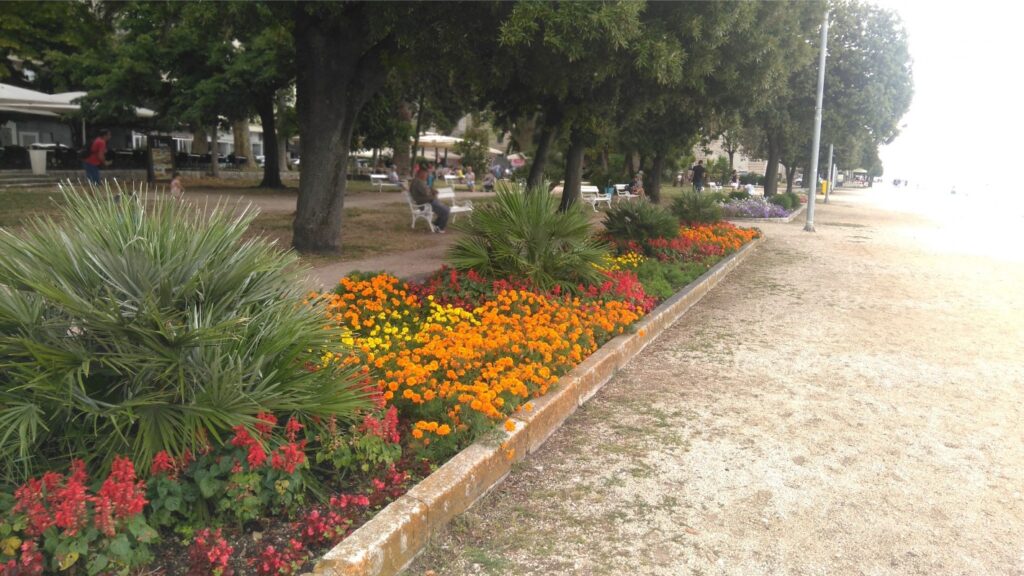 Ljetno izdanje gradskih površina