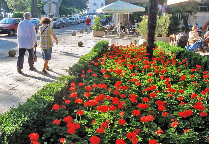 Održavanje zelenih površina grada Zadra