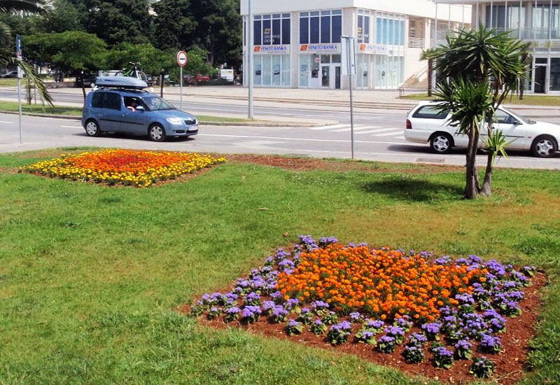 Održavanje zelenih površina grada Zadra