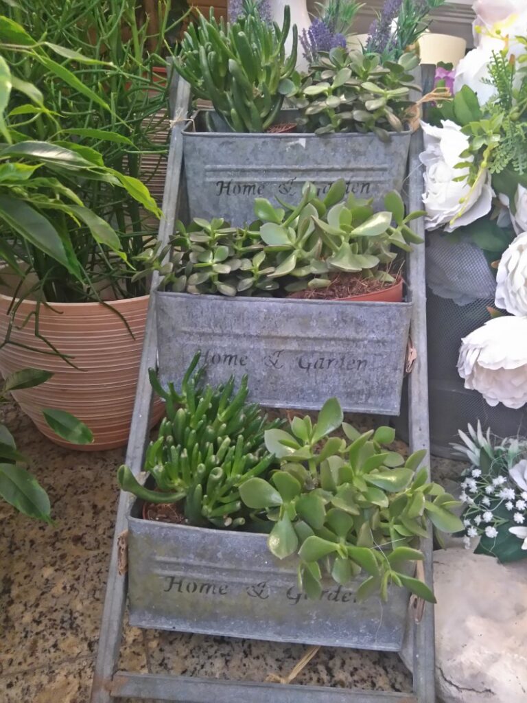 Ponuda cvjećarnice Mirta u listopadu
