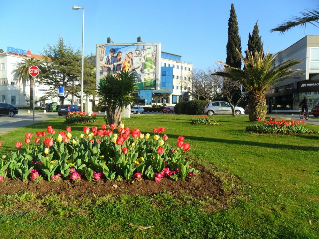 Rascvjetane gradske površine