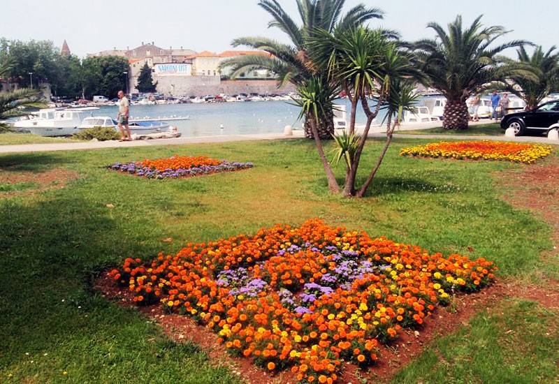 Rascvjetani Zadar