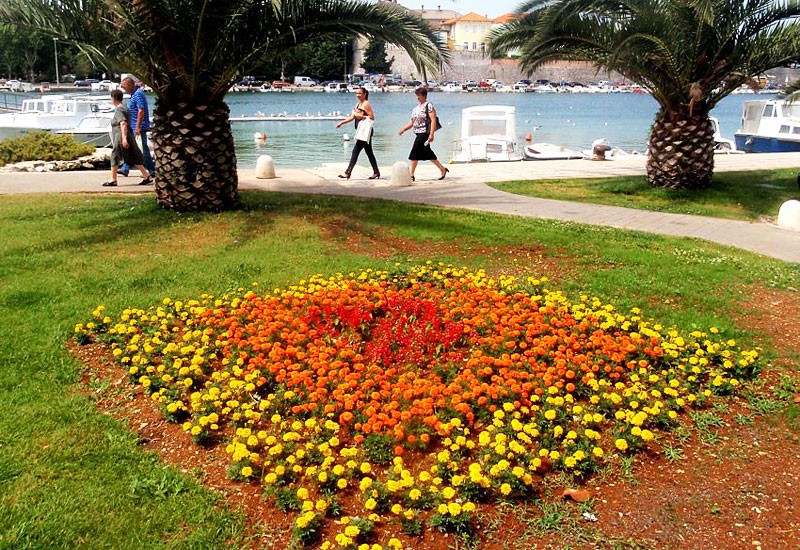 Rascvjetani Zadar