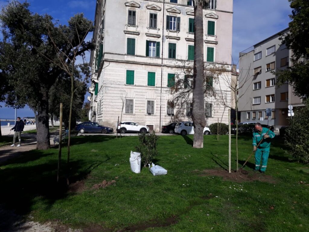 Sadnja stabala i uređenje zelenih površina