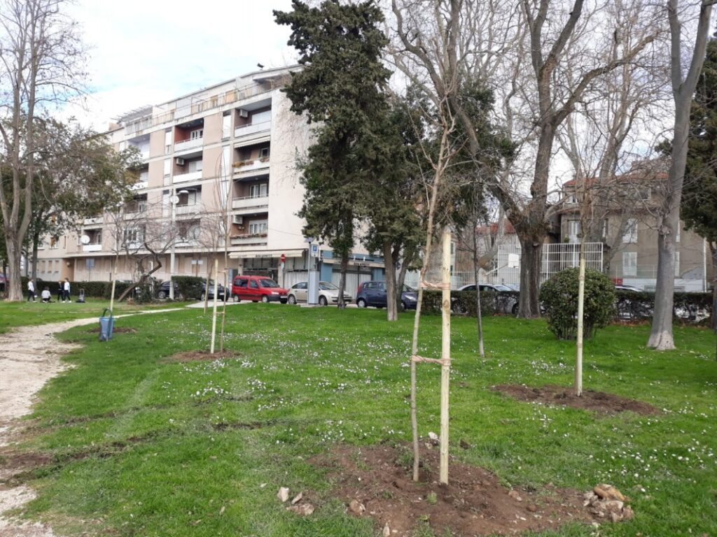 Sadnja stabala i uređenje zelenih površina