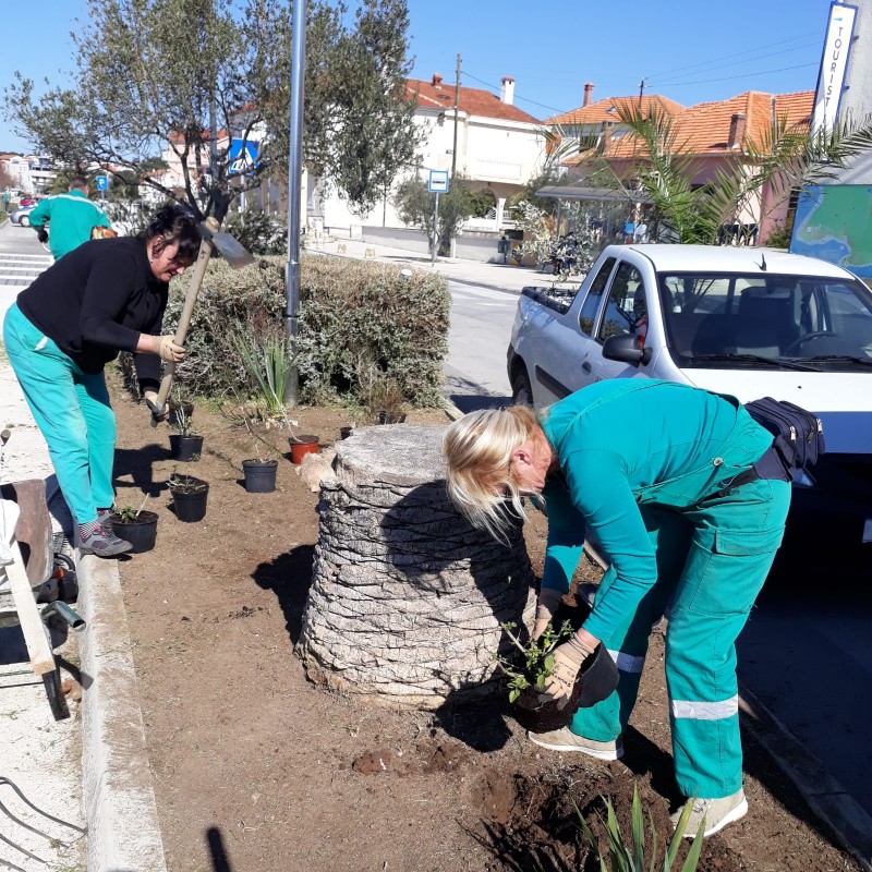 Sadnja stabala i uređenje zelenih površina