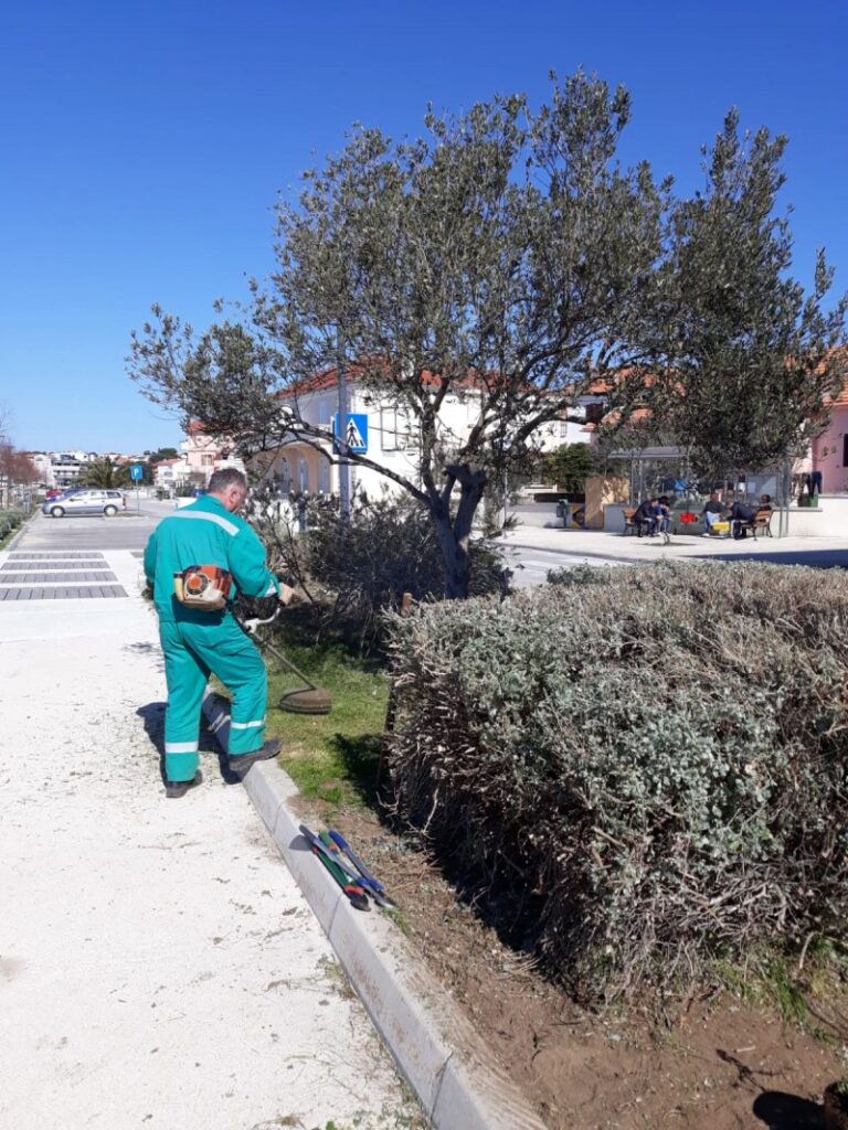 Sadnja stabala i uređenje zelenih površina
