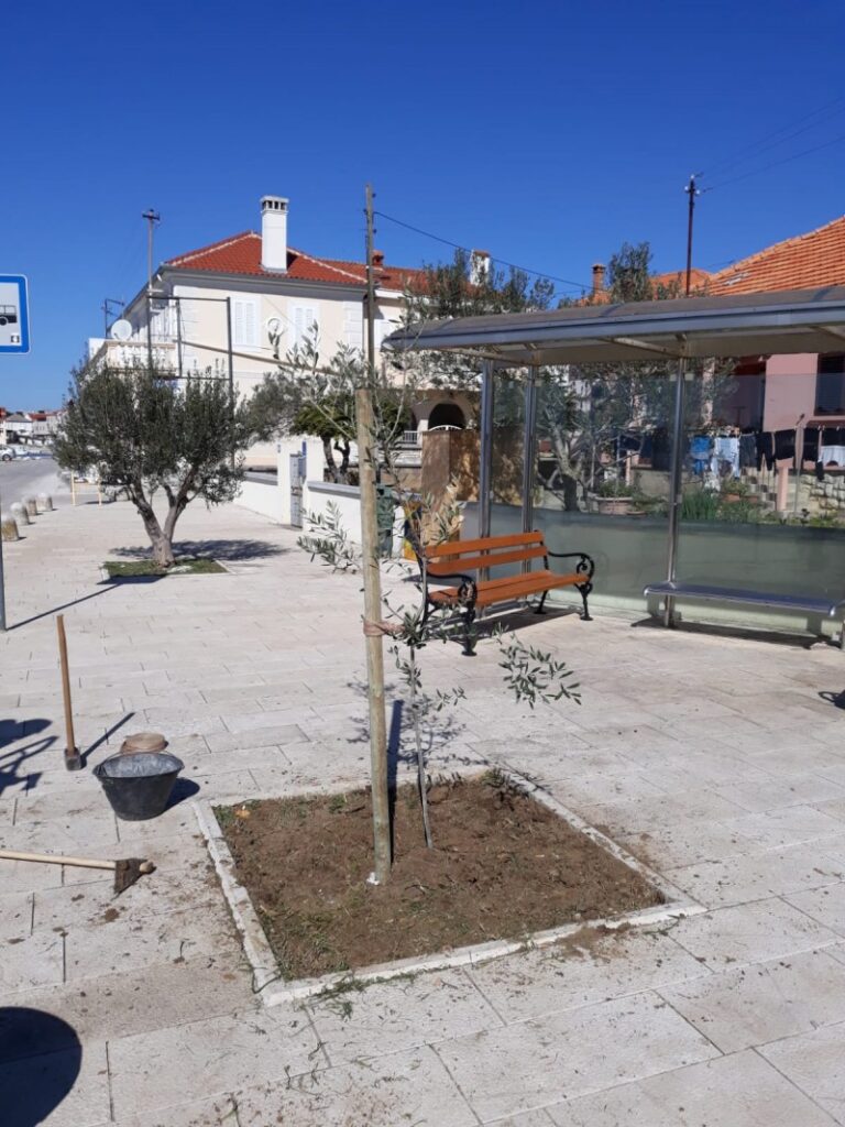 Sadnja stabala i uređenje zelenih površina