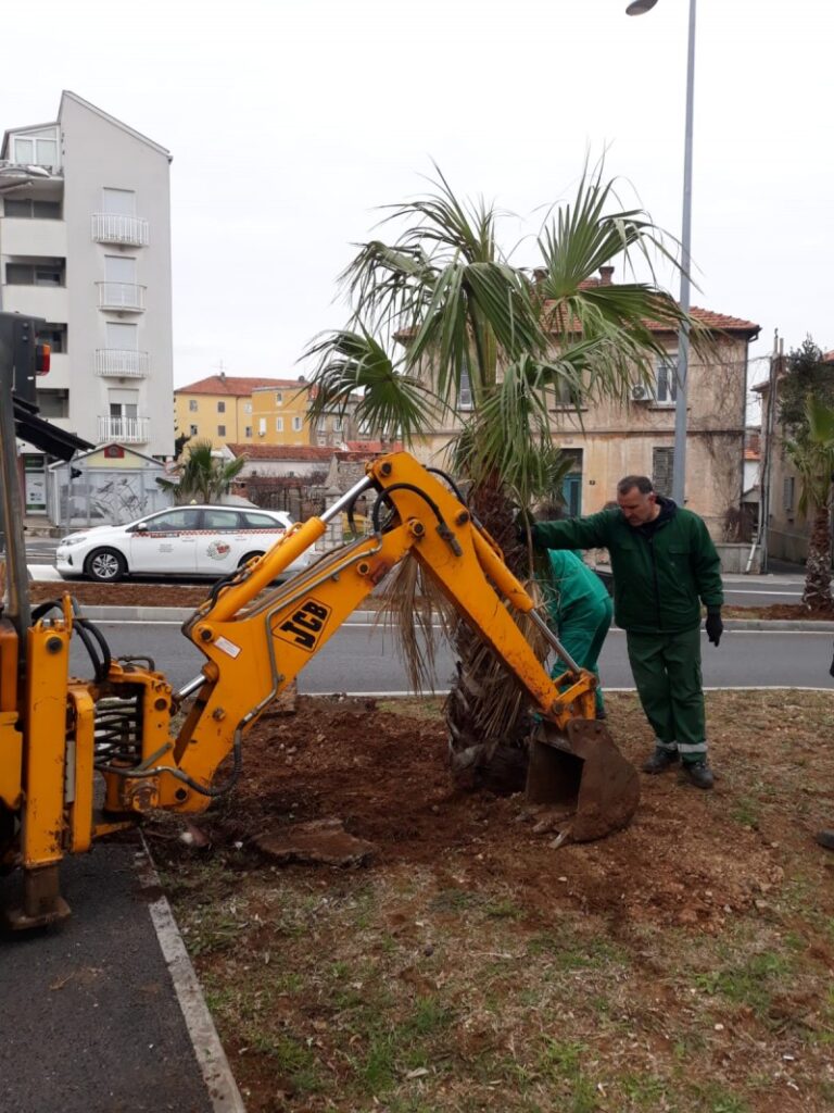 Sadnja stabala i uređenje zelenih površina