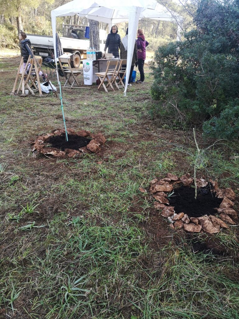 Sadnja stabala u parku Žmirići
