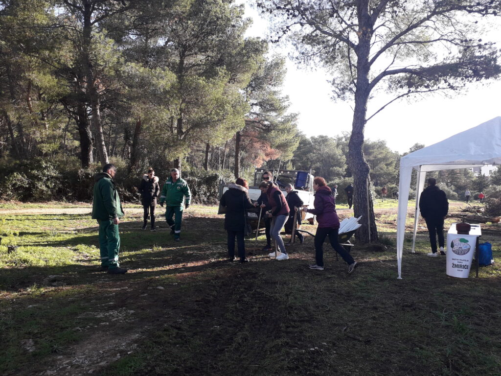 Sadnja stabala u parku Žmirići