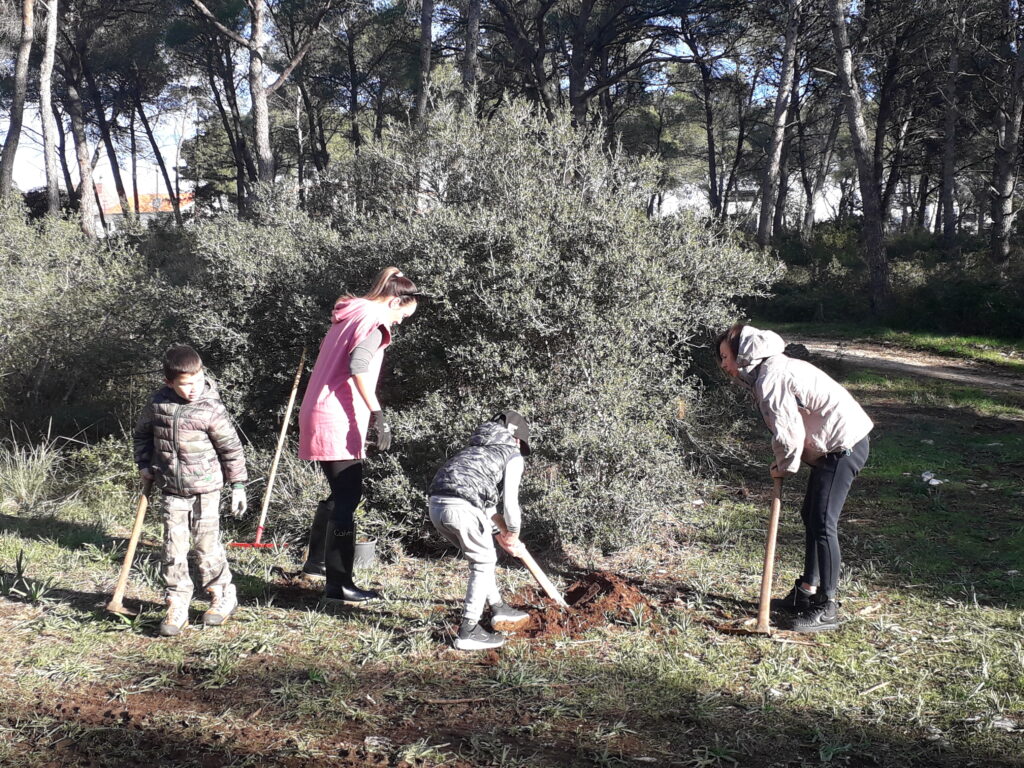 Sadnja stabala u parku Žmirići