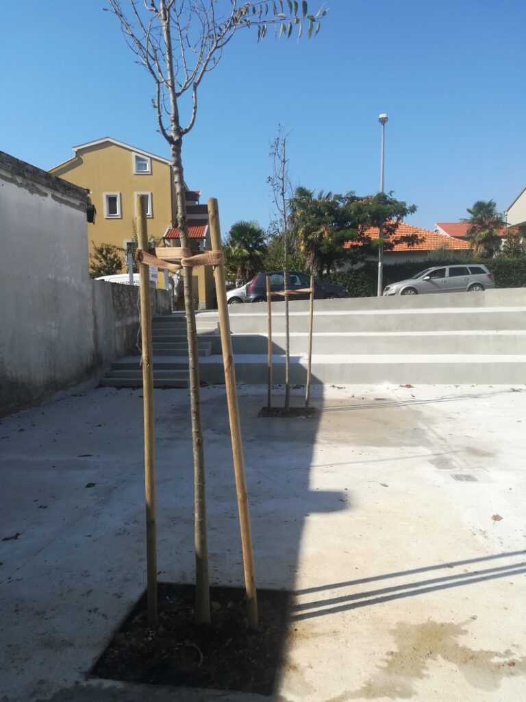 Sadnja stabala