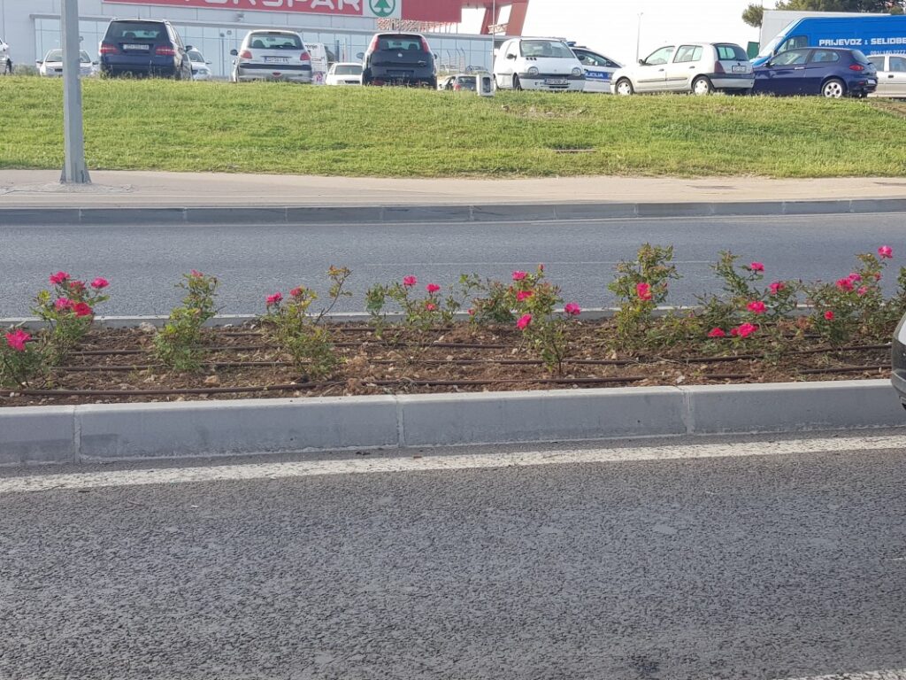Šarenilo cvjetnih gredica