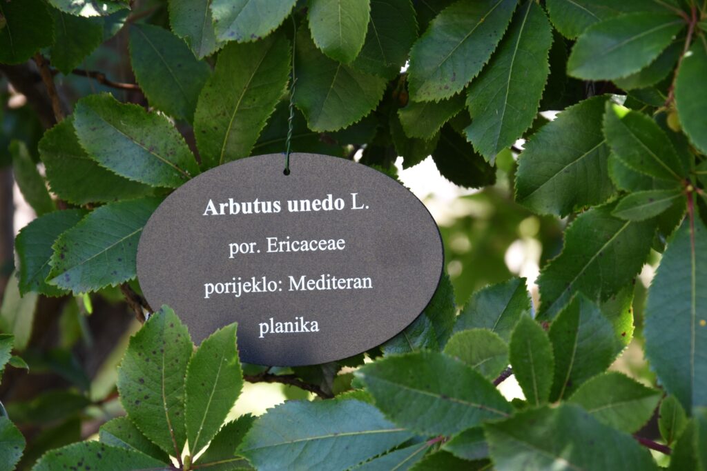 Zadarski mediteranski botanički vrt