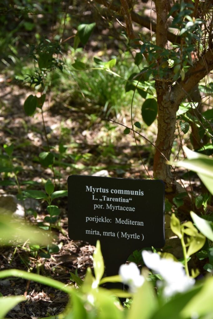 Zadarski mediteranski botanički vrt