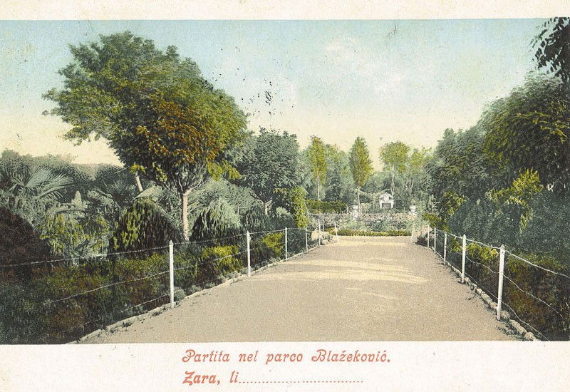 Zeleni Zadar na starim razglednicama